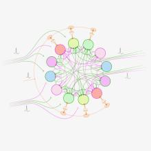 Schematic diagram of multidigraph connections in a neural network.